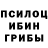 Псилоцибиновые грибы ЛСД Elena Berestyanko