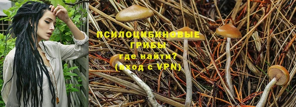 соль ск Абдулино