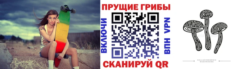Галлюциногенные грибы мицелий kraken онион Циолковский
